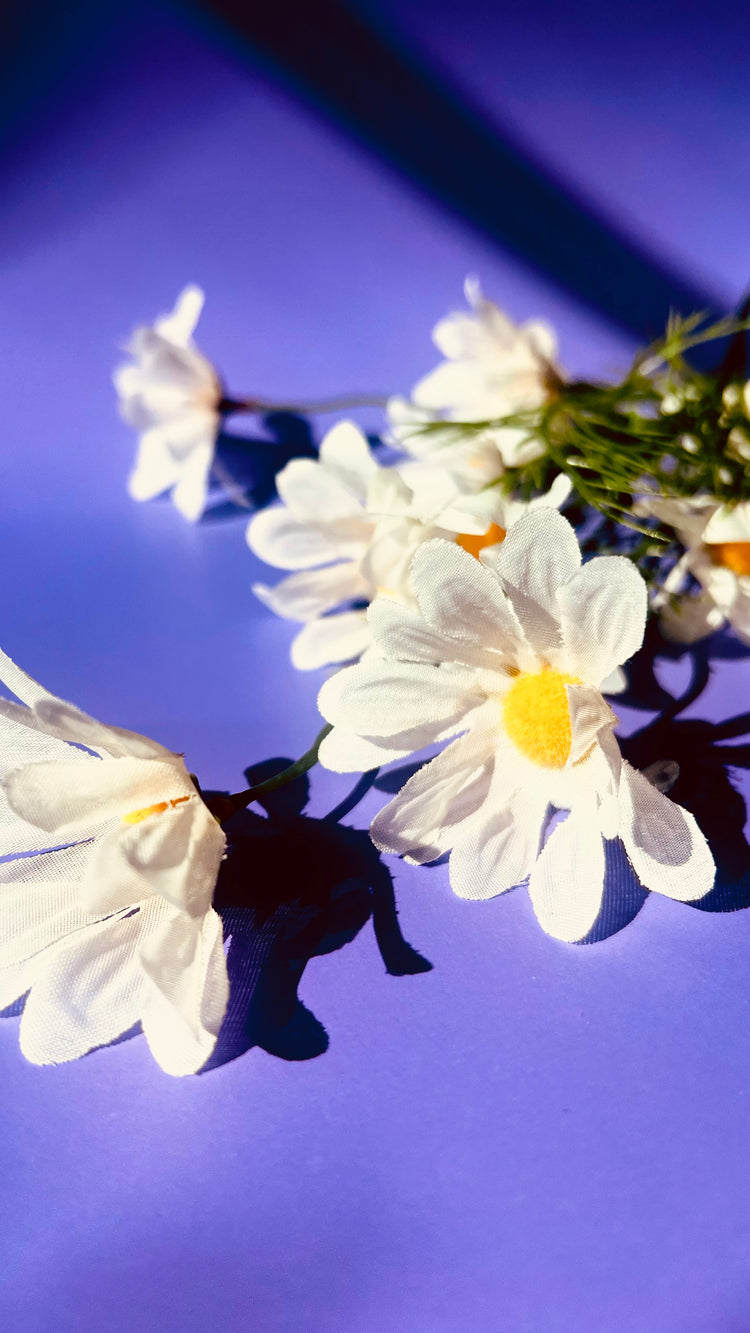 Scents for Summer …