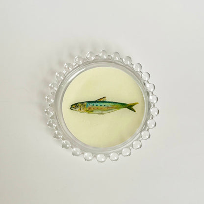 Sardine Dish