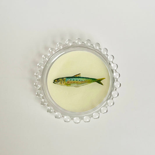 Sardine Dish