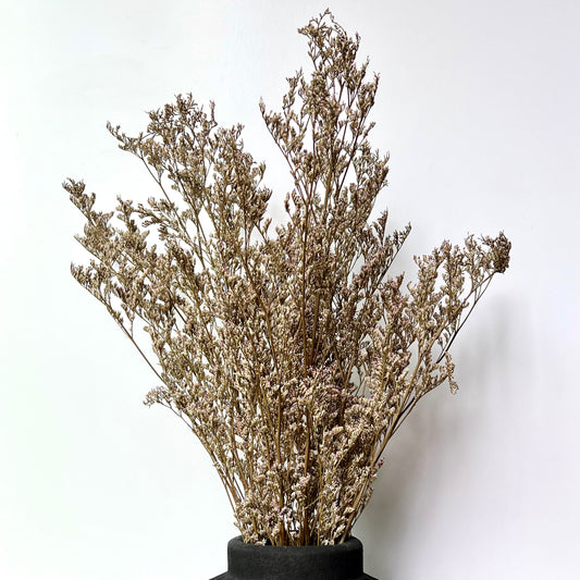 Brownish colored dried flowers in a black vase